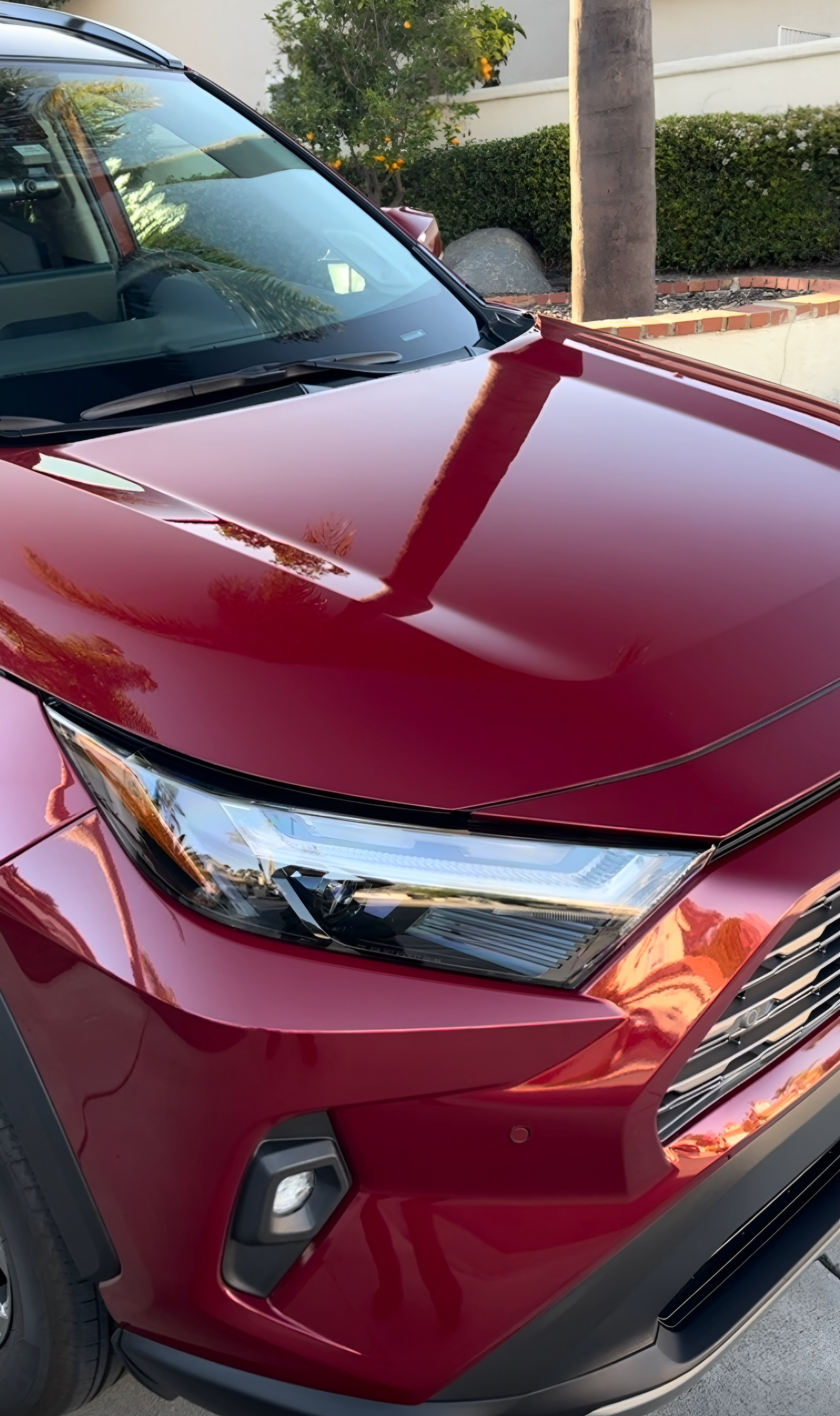 Red hood after paint enhancement and gloss restoration