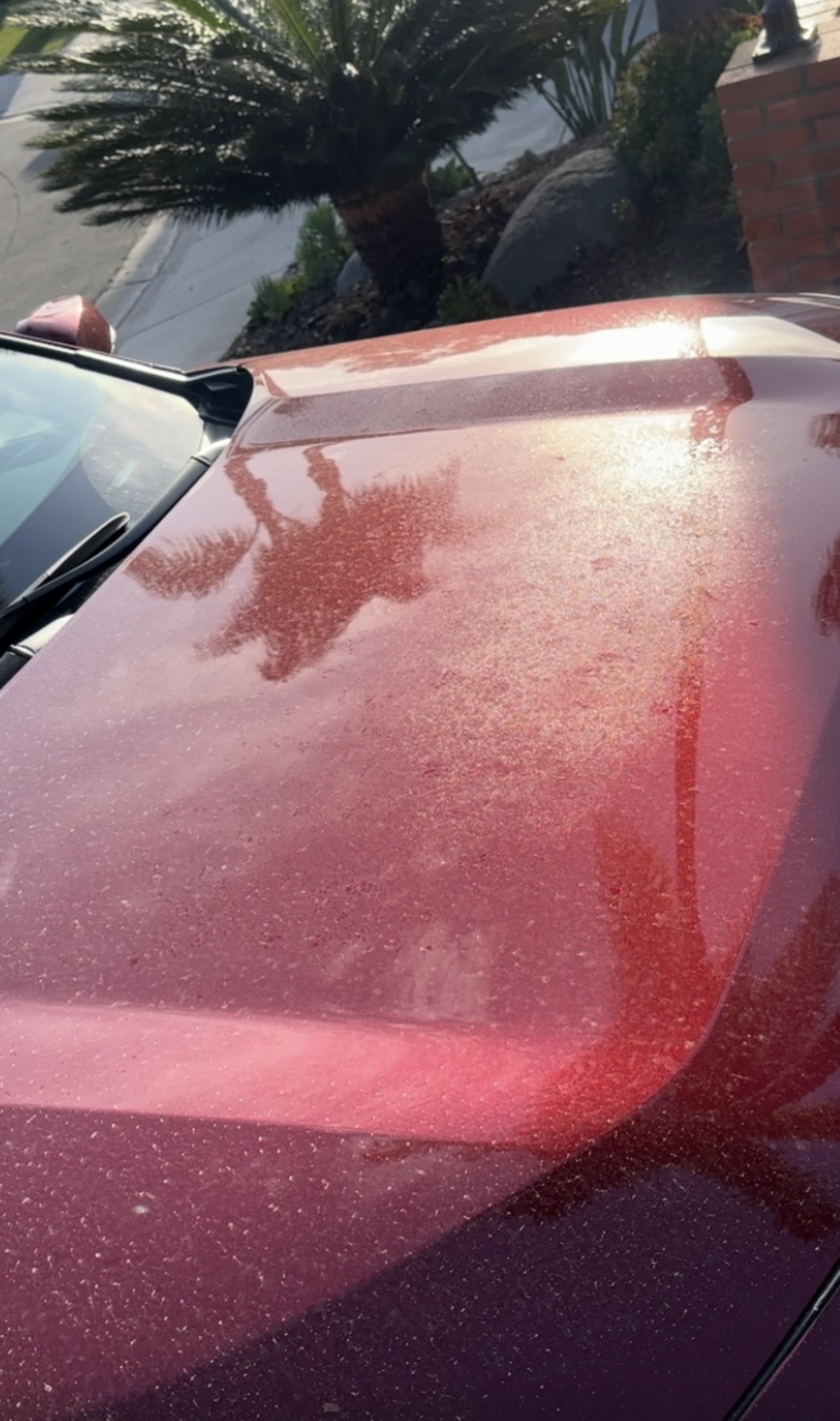 Oxidized red hood before detail and paint enhancement