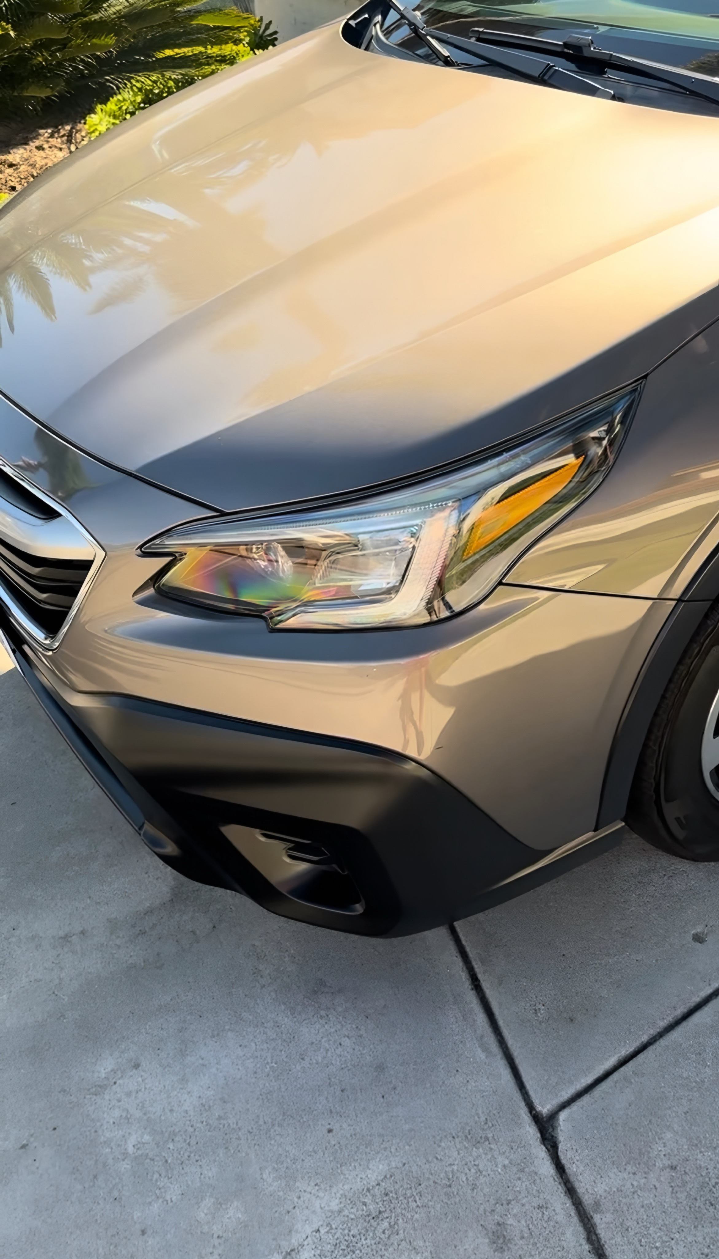 Vehicle after detail and trim restoration used for the paint correction blog article